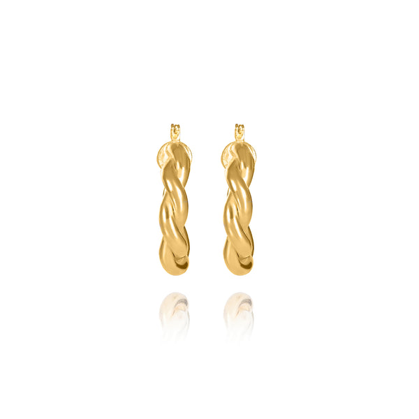 Tashu Twist hoops