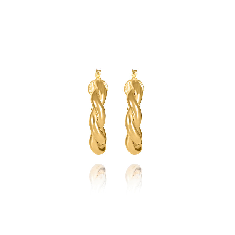 Tashu Twist hoops